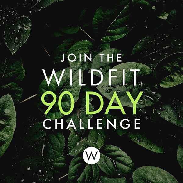 Join 90 Day Challenge